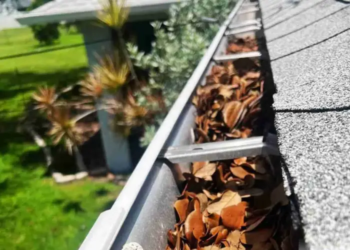 Houston gutter cleaning home page